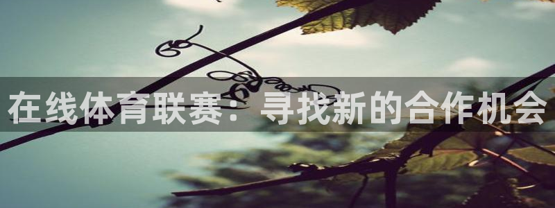360玩球直播