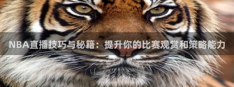 体育新闻