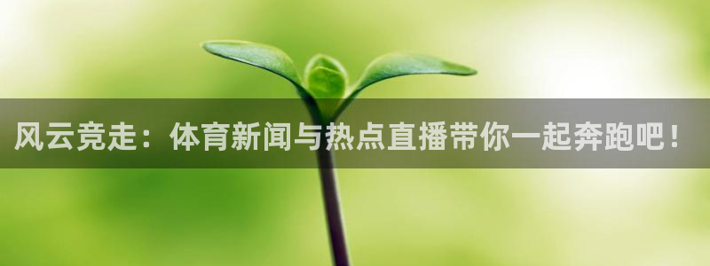 玩球直播在线观看免费高清