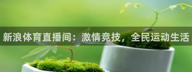 玩球直播在线