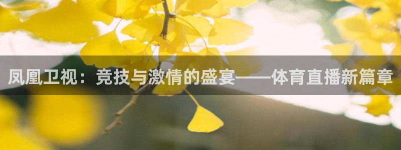 玩球直播(免费版)