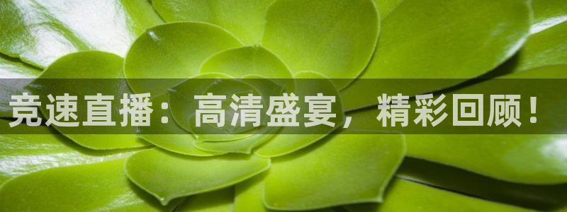 玩球直播免费下载