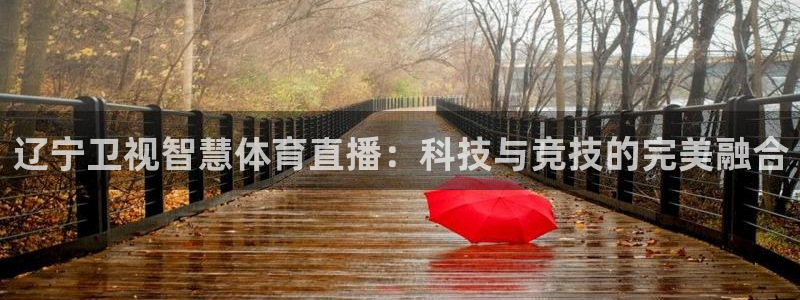 体育新闻