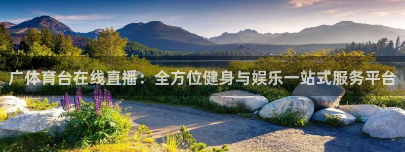 体育新闻