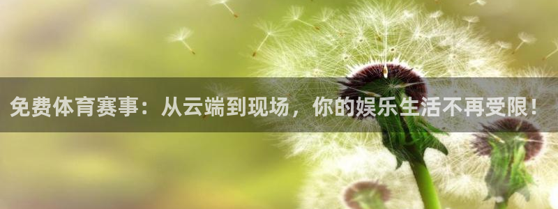 体育新闻